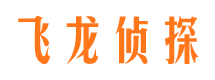 凤泉飞龙私家侦探公司